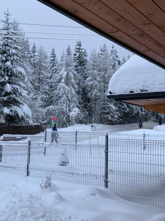 Punkt Koscielisko, Dom Gorski 800 M Od Doliny Koscieliskiej エクステリア 写真