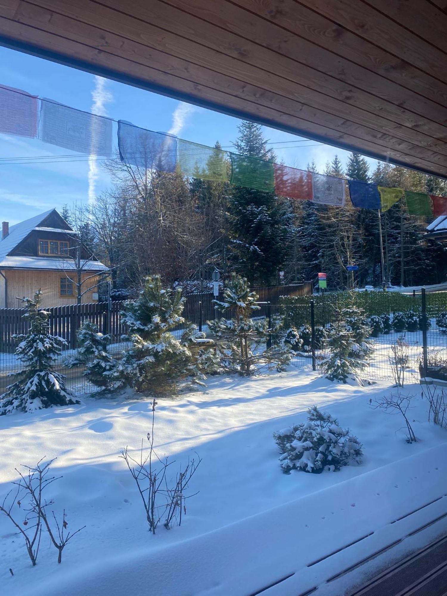 Punkt Koscielisko, Dom Gorski 800 M Od Doliny Koscieliskiej エクステリア 写真